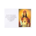 Koronka do Chrystusa Króla - Instrukcja modlitwy - JS R1238 - Dewocjonalia P.H. Jakóbczak - Katolicki sklep liturgiczny i hurtownia