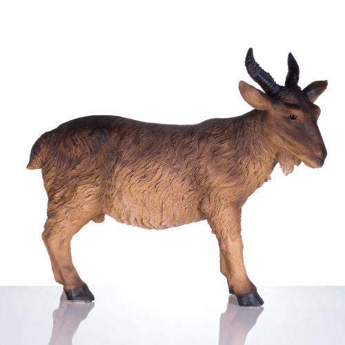 8526.jpg Figura do szopki bożonarodzeniowej - koza - 53 cm - Grande