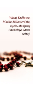 Baner na Różaniec "Witaj Królowo."