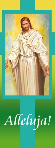 d125dd23779a7fdc265d7bc909192ea5 Baner na Wielkanoc NR BR037