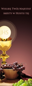 Baner na Boże Ciało "Wielbię twój." bordowy