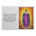 Koronka do Krwawych Łez Matki Bożej - instrukcja modlitwy - JS R1374 - Dewocjonalia P.H. Jakóbczak - Katolicki sklep liturgiczny i hurtownia
