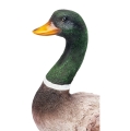 Figura do szopki bożonarodzeniowej - kaczka -  39 cm - Grande - JS ZY22113 - Dewocjonalia P.H. Jakóbczak - Katolicki sklep liturgiczny i hurtownia
