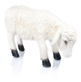 Figura do szopki bożonarodzeniowej - owca - 33 cm - Grande - JS ZY22057-21 - Dewocjonalia P.H. Jakóbczak - Katolicki sklep liturgiczny i hurtownia