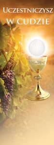 Baner na I Komunię Świętą "Uczestniczysz w cudzie"