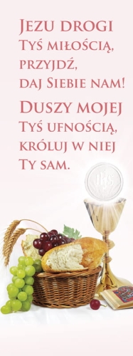 25452 Baner na I Komunię Świętą "Jezu Drogi tyś miłością"