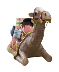 Wielbłąd leżący (140x77 cm)