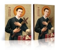 Ikona Religijna Święty Gerard Majella - GAR IP-4194 - Dewocjonalia P.H. Jakóbczak - Katolicki sklep liturgiczny i hurtownia
