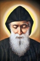 Wyklejanka - 78 x 95 cm - św. Charbel - Diamentowa Mozaika - DIY - JS S9012 - Dewocjonalia P.H. Jakóbczak - Katolicki sklep liturgiczny i hurtownia