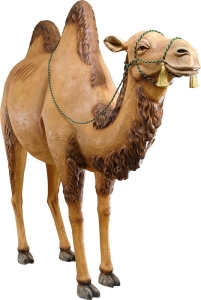 Wielbłąd (stojący) (215x182 cm)